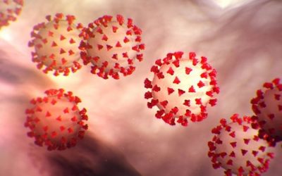 Update Revival en coronavirus: competitie & activiteiten (2)